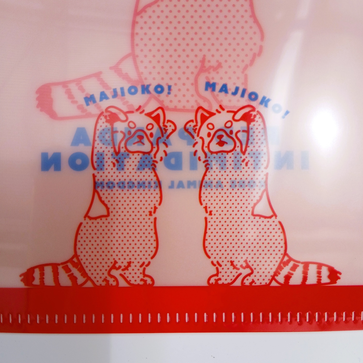 A6クリアファイル MAJIOKO レッサーパンダ | 神戸どうぶつ王国NS